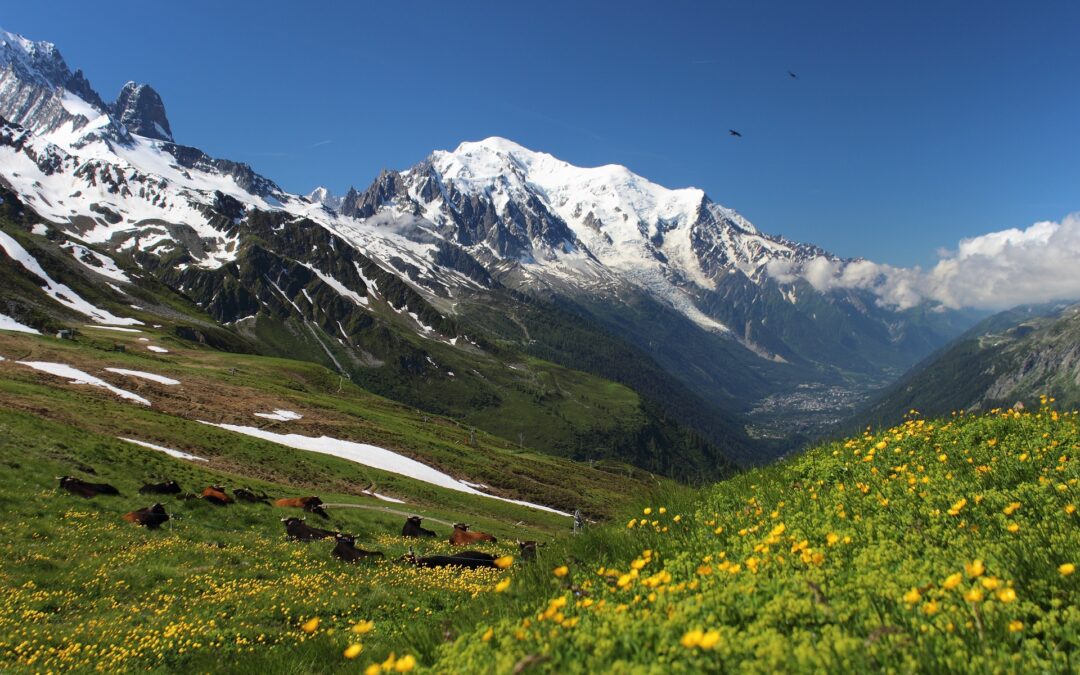 Expo TMB – Une histoire de randonnée autour du Mont Blanc