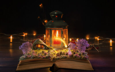 Programme MDE – Octobre 2024