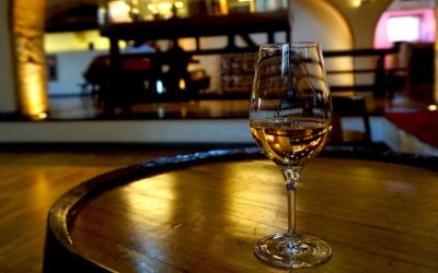 Formation en œnologie 2024/25