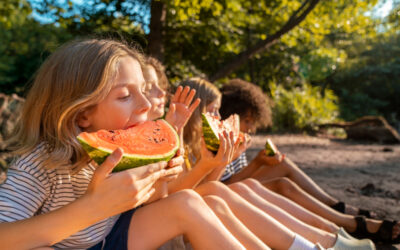 Programme MDE – Été 2025