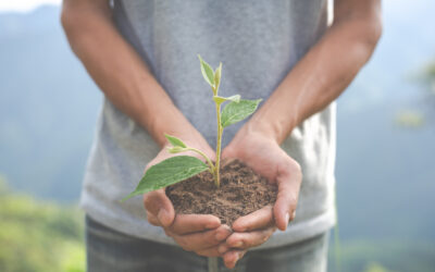Plantons ! 2 ème édition – 2025