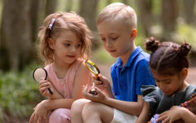 Programme MDE – Avril 2026